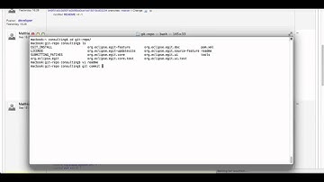 Defect tracking with codeBeamer
