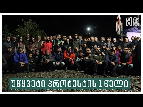 უწყვეტი პროტესტის ერთი წელი