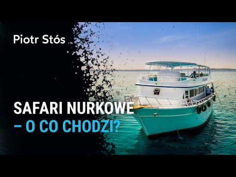 Wideo: Wszystko, co należy wiedzieć o wycieczkach nurkowych Liveaboard