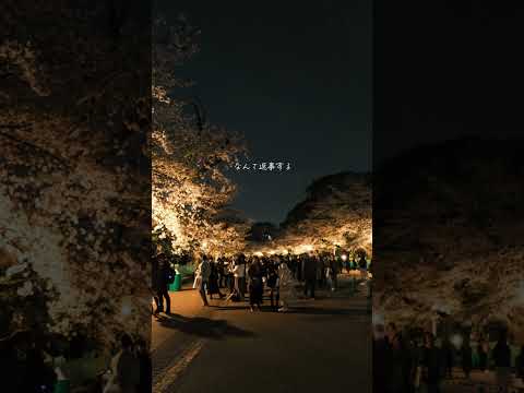 ピンクムーン /  ハルカミライ　弾き語りcover