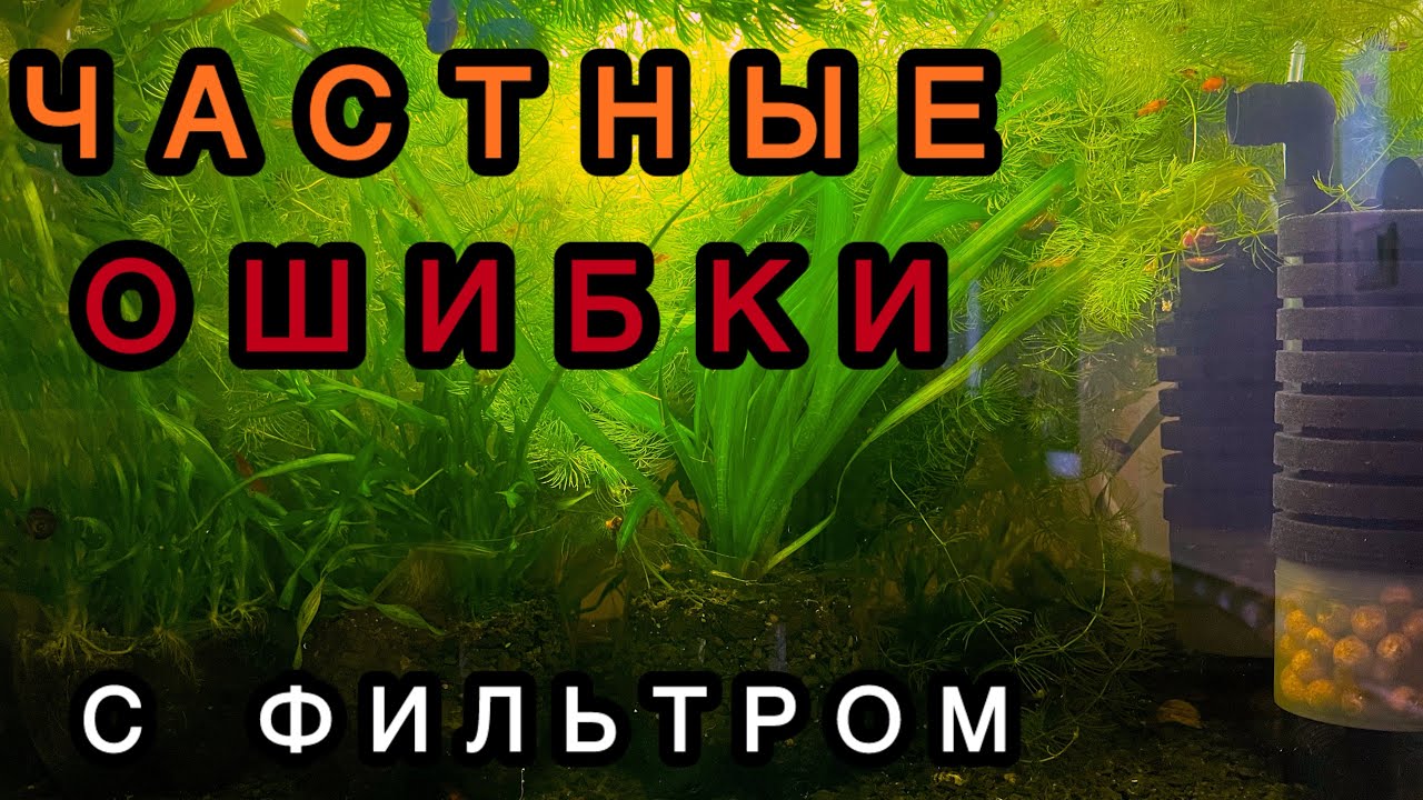 Как часто мыть фильтр в аквариуме?