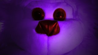 Asmr Binaural Creepypasta The Shredder Monkey