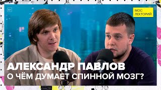 Можно ли прожить без головы? | Александр Павлов Лекция 2023 | Мослекторий