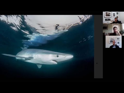 The Art of Underwater Photography with Jake Stout