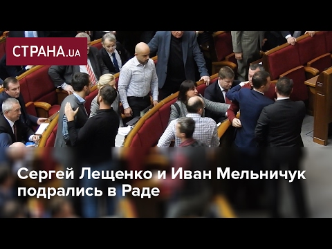 Сергей Лещенко и Иван Мельничук подрались в Раде