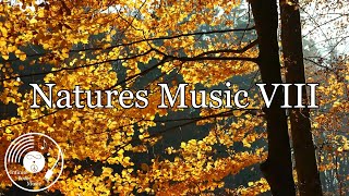 Natures Music VIII - Sounds of Nature and Accompanied Meditative Music