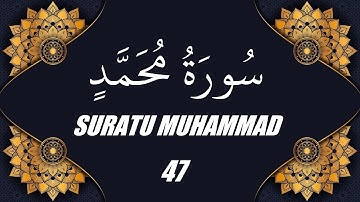 محمد الفقية - سورة محمد (47)