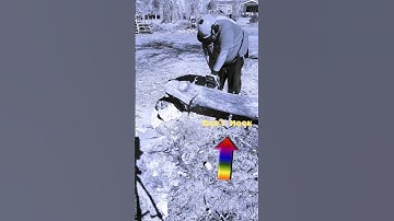 Cutting Firewood With the Help of a Cant Hook #shorts