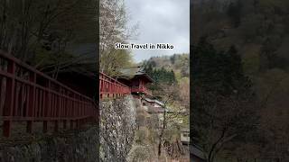 A Solo Day in Nikko 🇯🇵 Shrines, Forest Paths &amp; Quiet Moments