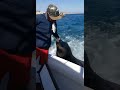 Viral sea Encounters #viealreels #crazycomedy #funny #animallife #seafood #sea #animalshorts