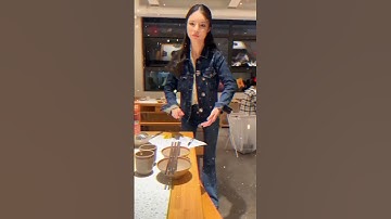 AI in Action Robots Revolutionizing Restaurant Service