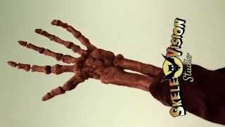 Stop motion skeleton hand test footage - SkeleVision Studio