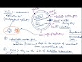DNA Vectors in Recombinant DNA Technology Introduction for Class 12