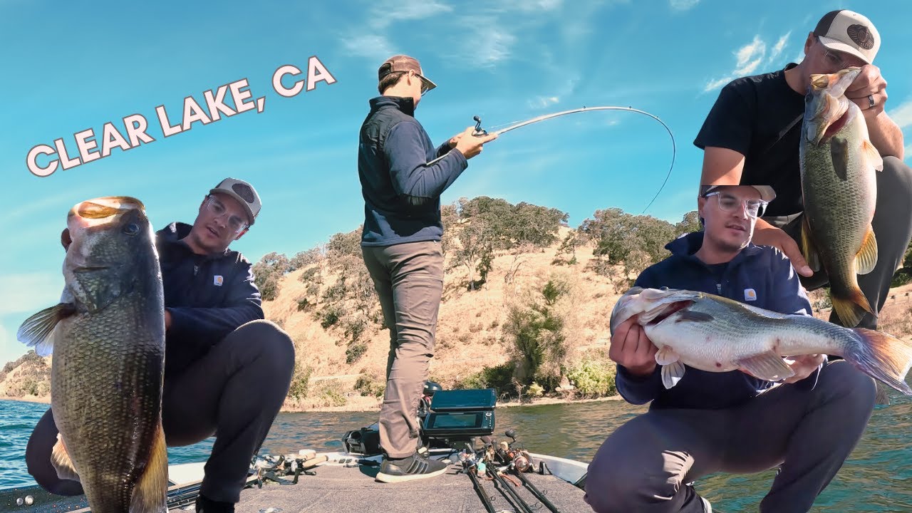 25lb Limit of Clear Lake Bass