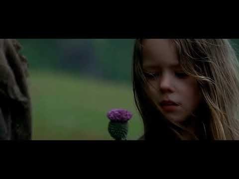 Braveheart (1995) -