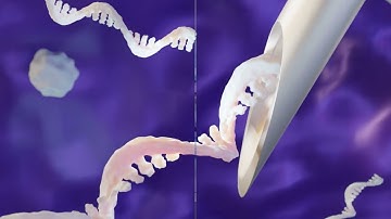 RNA Synthesis Technology | mRNA, siRNA, dsRNA, miRNA