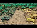 Army men the movie  1 hour 15  minutes of stop motion by green soldier productions