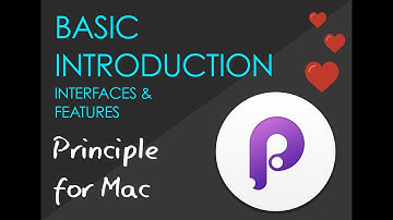 Basic Introduction to Interface & Features - Principle for Mac