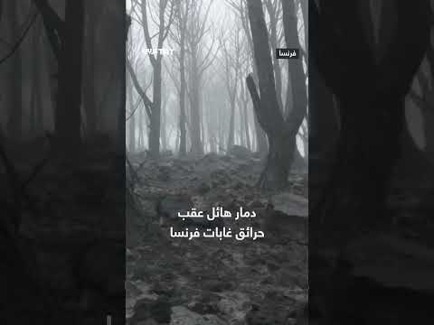حرائق فرنسا: لقطات جوية تُظهر دمار الغابات والمنازل