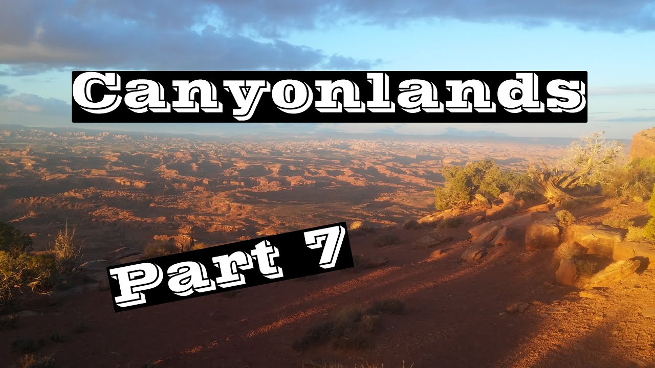 Меня подобрал хиппарский фургон ☮☮☮