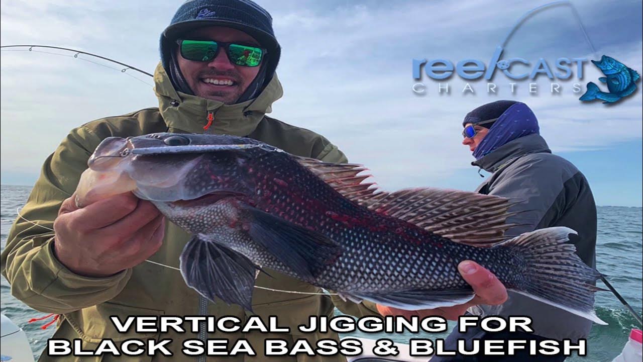 Black Sea Bass Fishing Vertical Jigging 