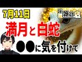 【すぐ見て】巳の日と満月のコラボ🍀🐉「この時間」にだけは気をつけて‼️運を取り入れる方法【7月11日 金運 運気UP】#巳の日#弁財天様#金運#財運#お金#満月#山羊座#スピリチュアル#白蛇#宇宙