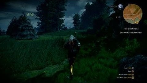 The Witcher 3: Two Annoying NPC Guards Accidentally Ceased Moving. Oops.