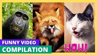 Funny Animal moment 😂 \& Compilation