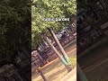 public garden