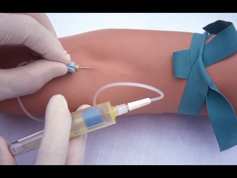 Performing a venipuncture using a butterfly needle