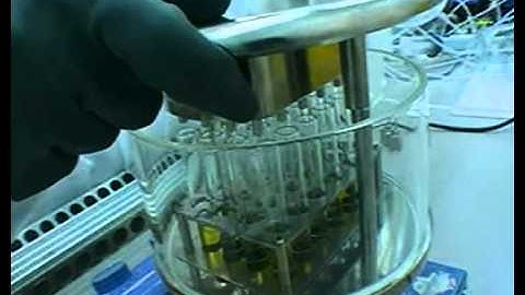 From Lead Optimisation to Scale Up