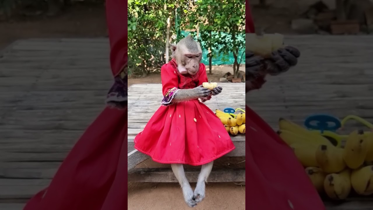 Shally likes ripe bananas.  