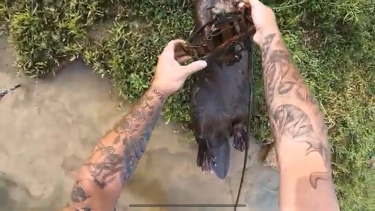 TRAPPER J’s VLOG SEASON 2 EPISODE 3 YouTube