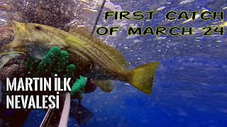 Mart'ın ilk nevalesi - Kumluca - Karaöz - Korsan Koyu - 4K Resimi