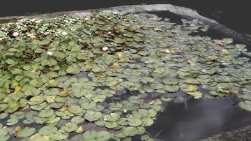 3D GAUSSIAN SPLATTING | BACKSTAGE #postshot #gaussiansplatting #nerf #photogrammetry #backstage