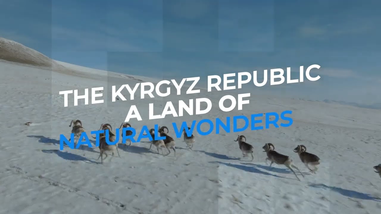 The Kyrgyzstan Conservation Trust Fund: Natural Heritage of Kyrgyzstan