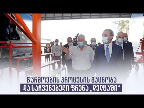 წარმოების პროცესის გაცნობა და საჩვენებელი ფრენა „დელტაში“