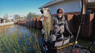 How I caught 50 big bass (where, when and how)
