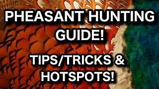PHEASANT HUNTING GUIDE! TIPS, TRICKS AND HOTSPOTS! THE HUNTER CALL OF THE WILD