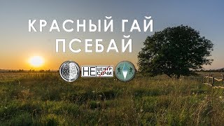 Грасный Гай Псебай 2019