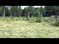 Spot The Soldiers In Camouflage In the Video