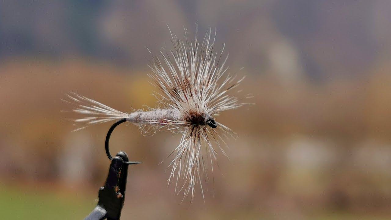 Fliegentom - Assortiment de mouches sèches Palmer