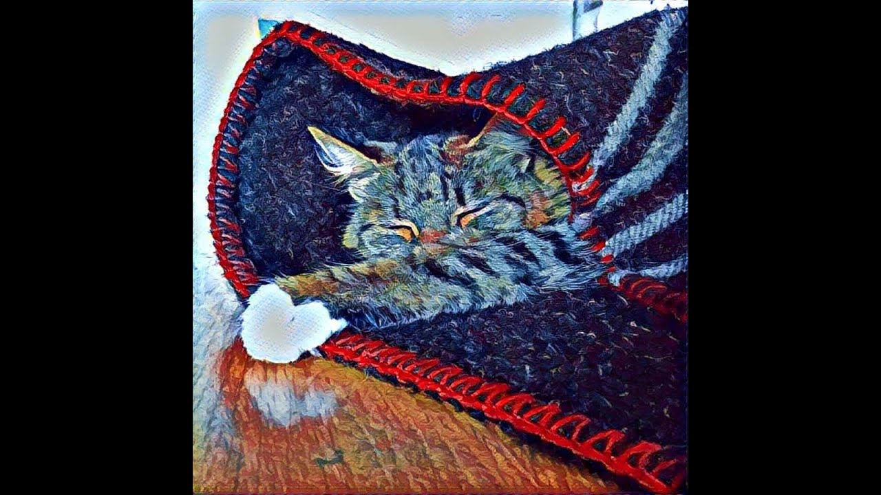 Packing a Zwartbles Ireland, home grown wool, locally made cat blanket