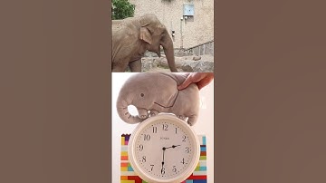 Hickory Dickory Dock the Elephant 🐘 Went up the Clock🕰️ #nurseryrhymes #kidssongs #kidsvideo #kids