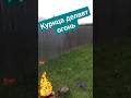 #подпишись #2023 #рекомендации