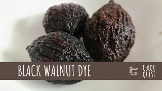 HOW TO MAKE NATURAL DYE WITH BLACK WALNUT HULL & SHELL | ORGANIC COLOR | BEIGE TAN BROWN BLACK