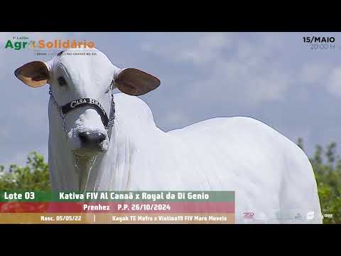 Lote 03   Kativa AL Canaã