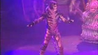 'The Gumbie Cat' from CATS
