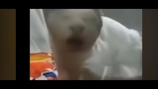 Alone In Fear Showcasing Respawn Gui