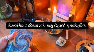 වෘශ්චික රාශියේ නව සඳ ටැරෝ අනාවැකිය 🧿